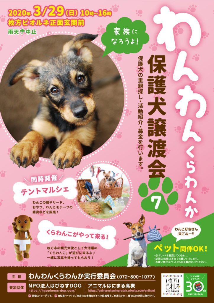 会 保護 犬 譲渡 anifareが保護犬の「オンライン譲渡会」を初開催します！